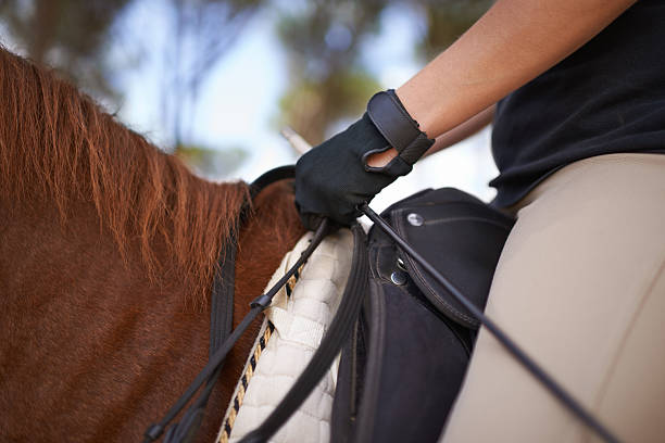 Horseback Riding Gloves - Youth