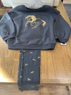 Carters Kids 2 piece Horse Fleece Top and Leggings Grey